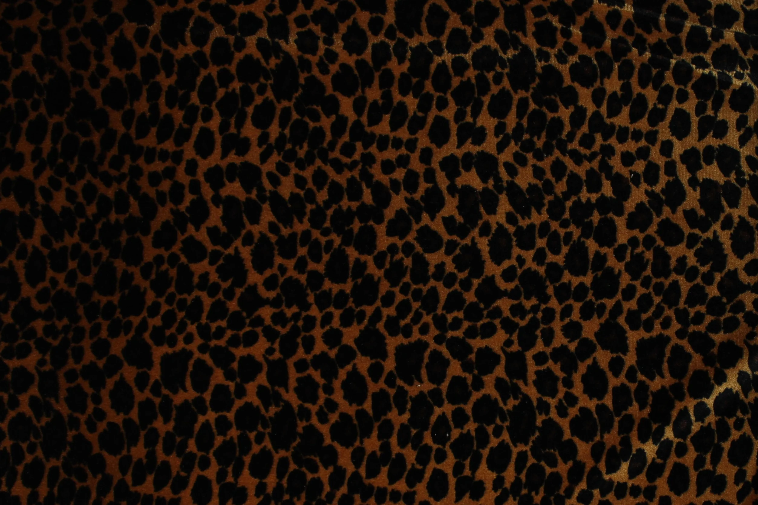 Cheetah Print Velvet - 57/60'' - 90% polyester, 10% spandex - Image 2