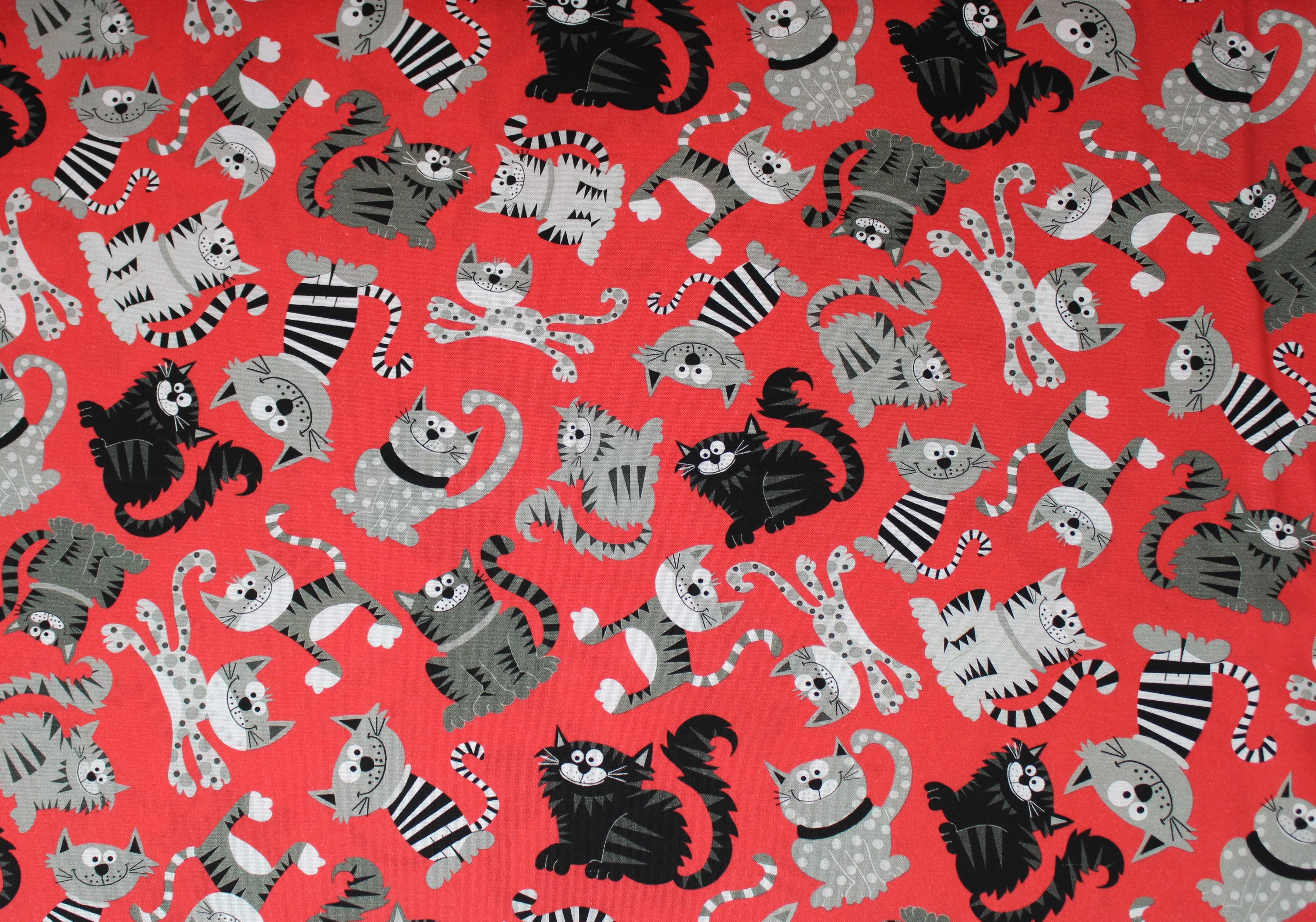 Parisian Cats - 45" - 100% cotton - Image 2