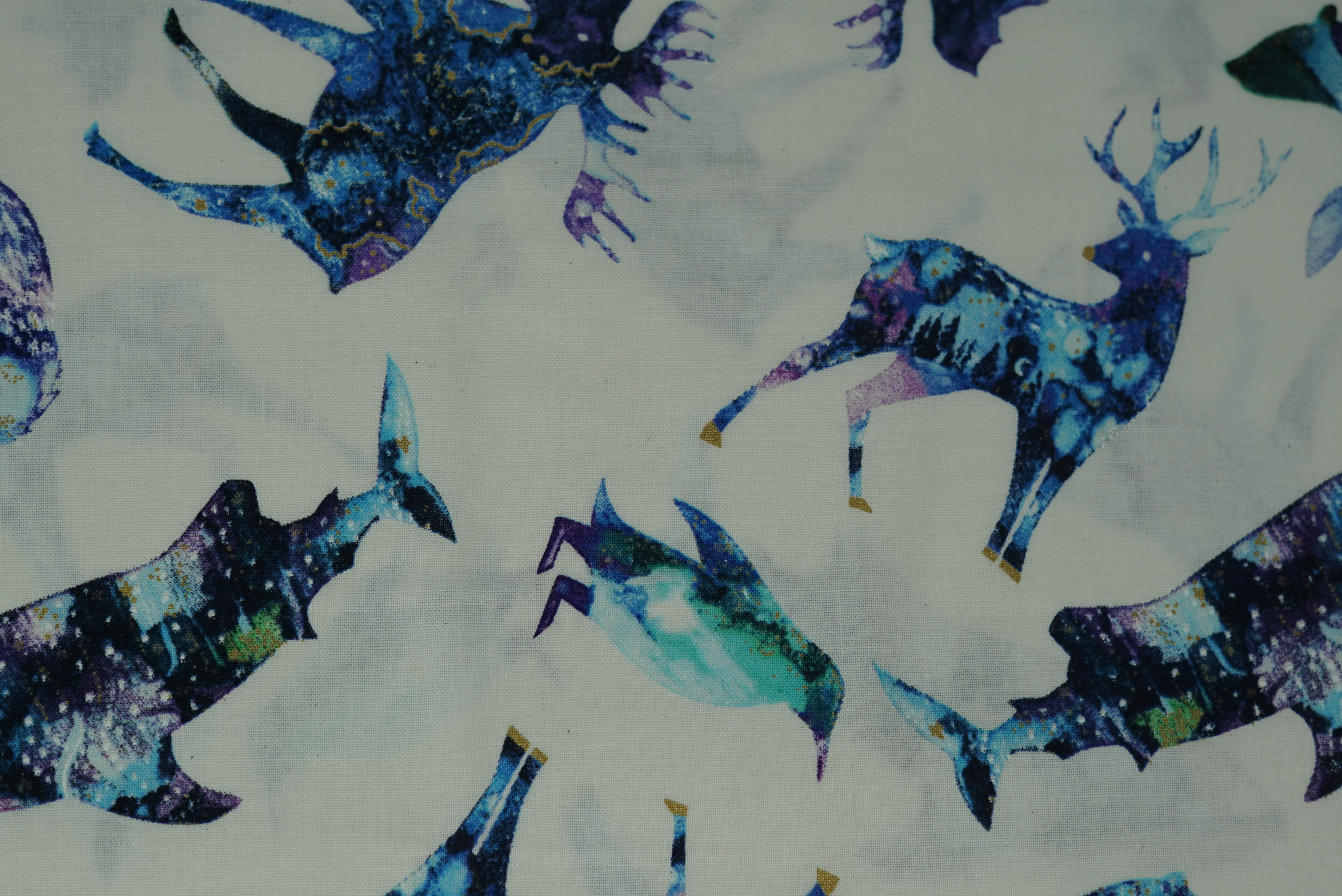Arctic Wonder - 44/45" - 100% Cotton - Image 2