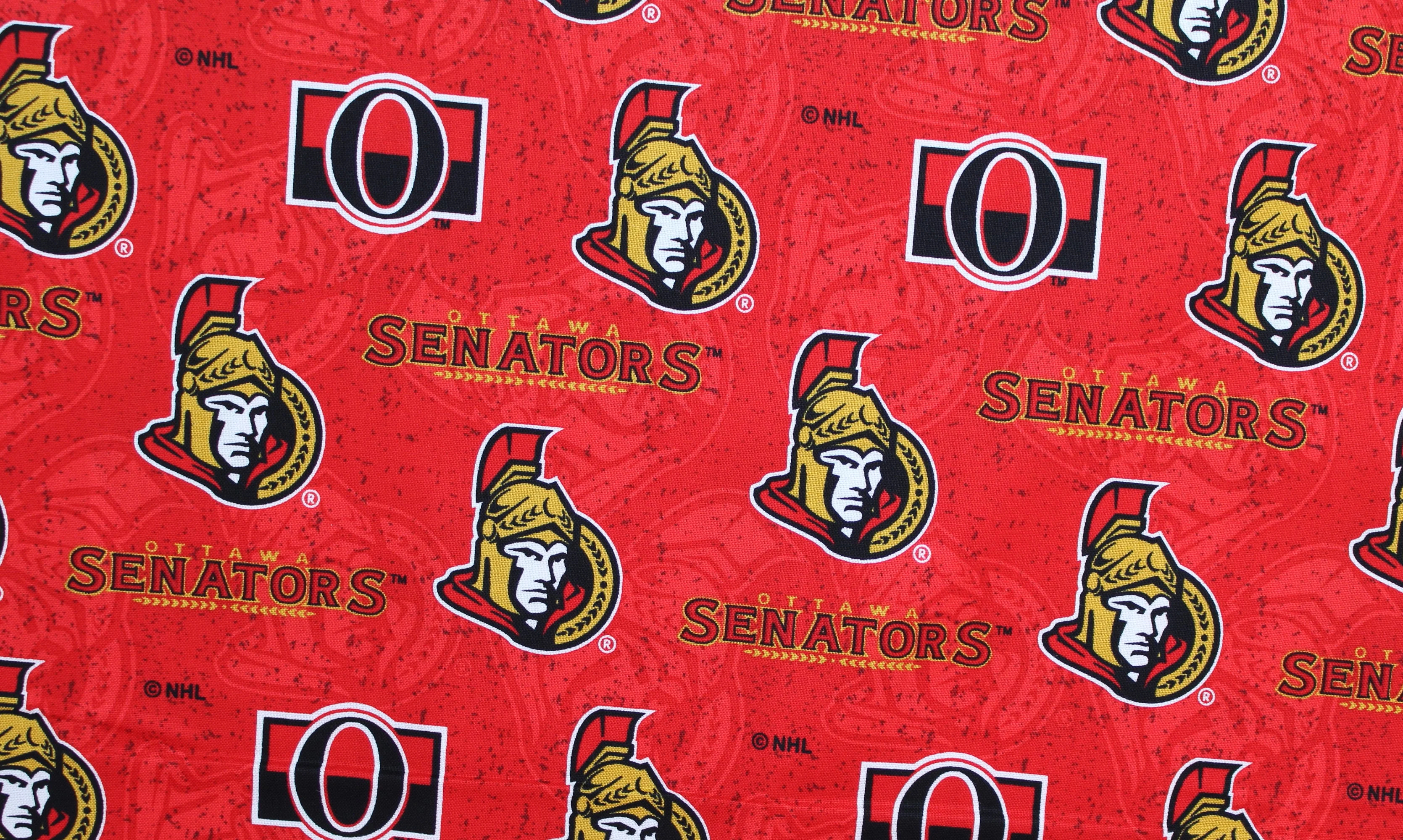 NHL Cotton Prints - 43/44" - 100% Cotton - Image 18