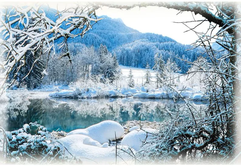 Below Zero Panel - 24x45" - 100% Cotton - Image 2