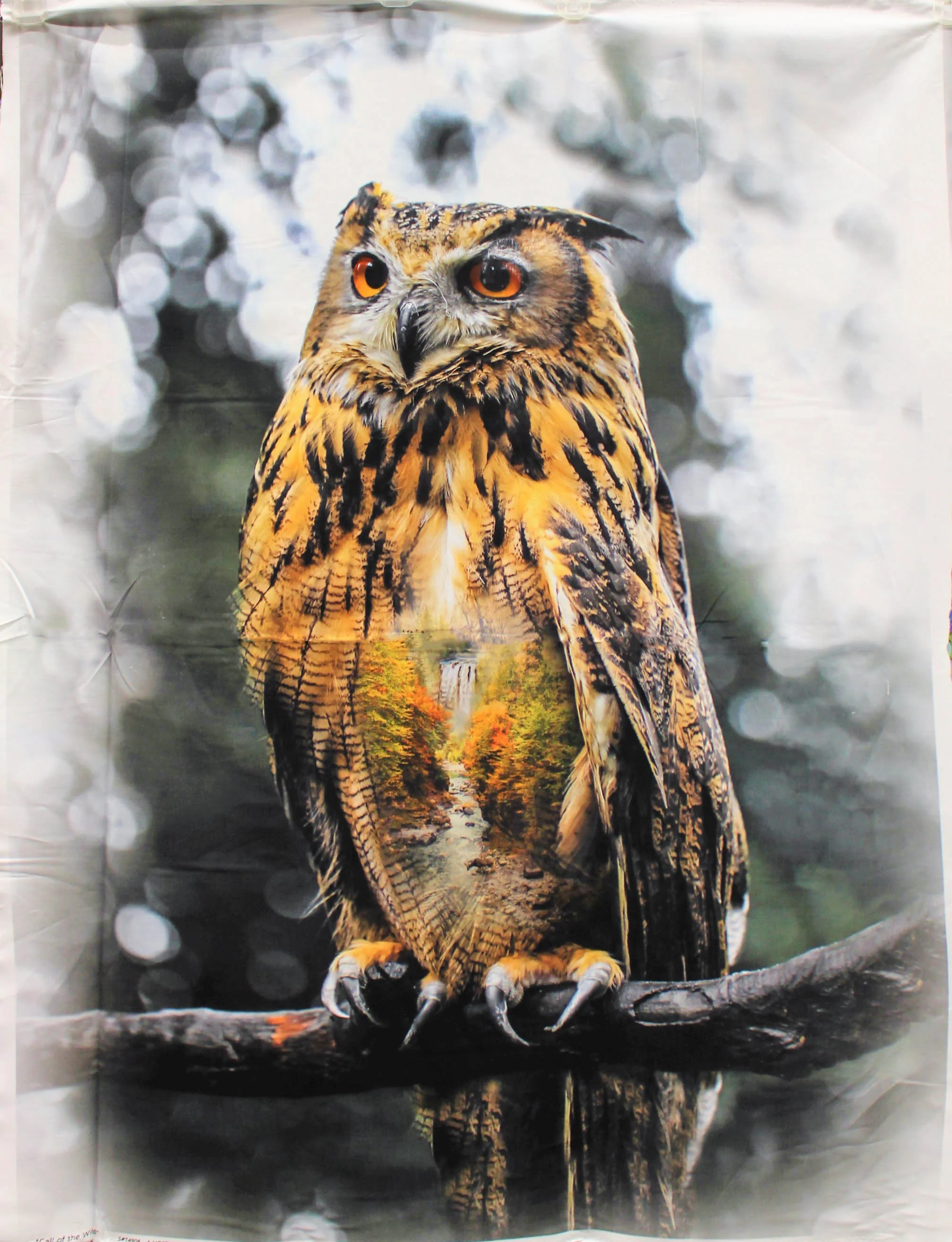 Call of the Wild Panels - (30"-33" x 45") - 100% Cotton - Image 3