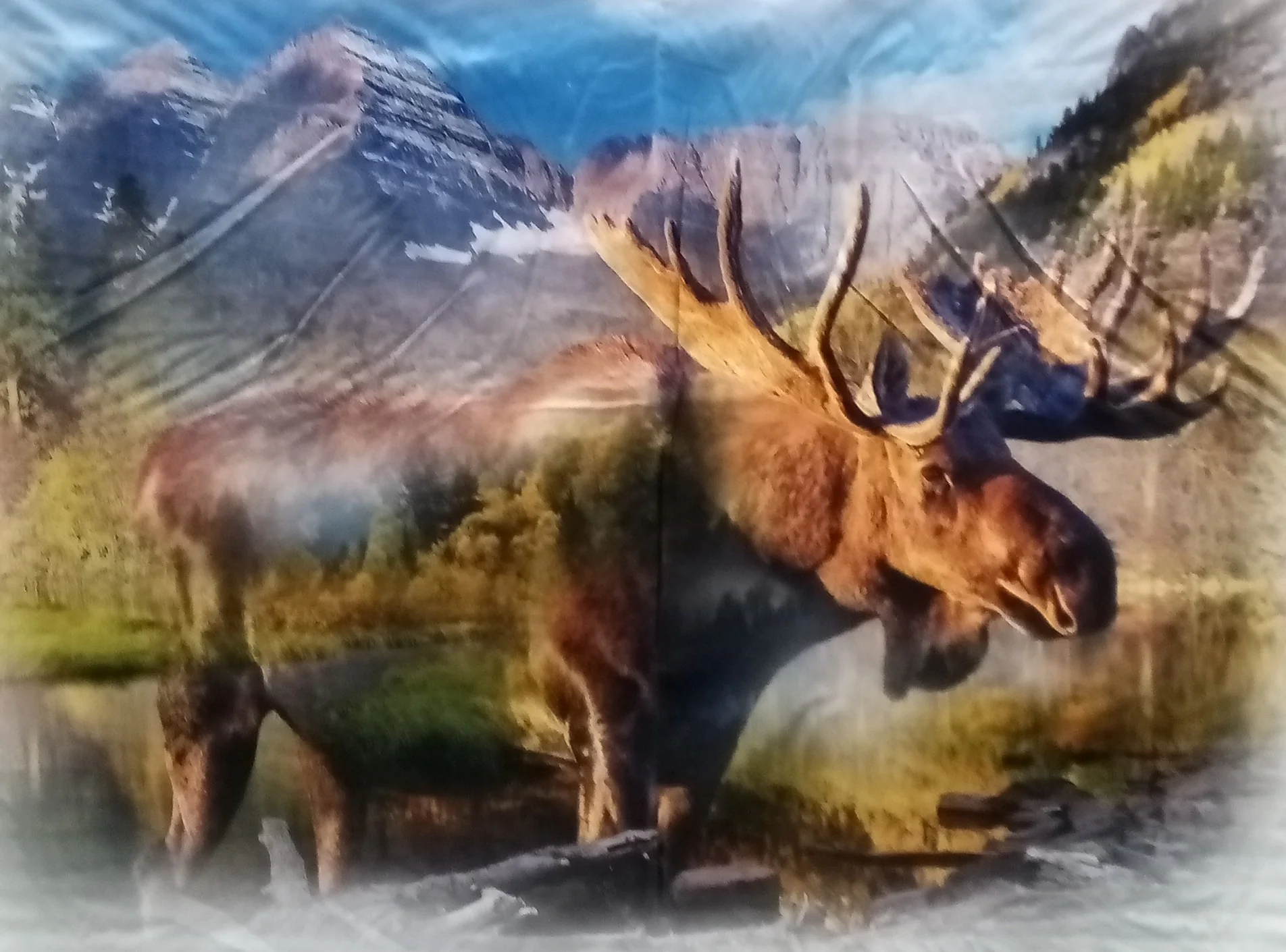 Call of the Wild Panels - (30"-33" x 45") - 100% Cotton - Image 6