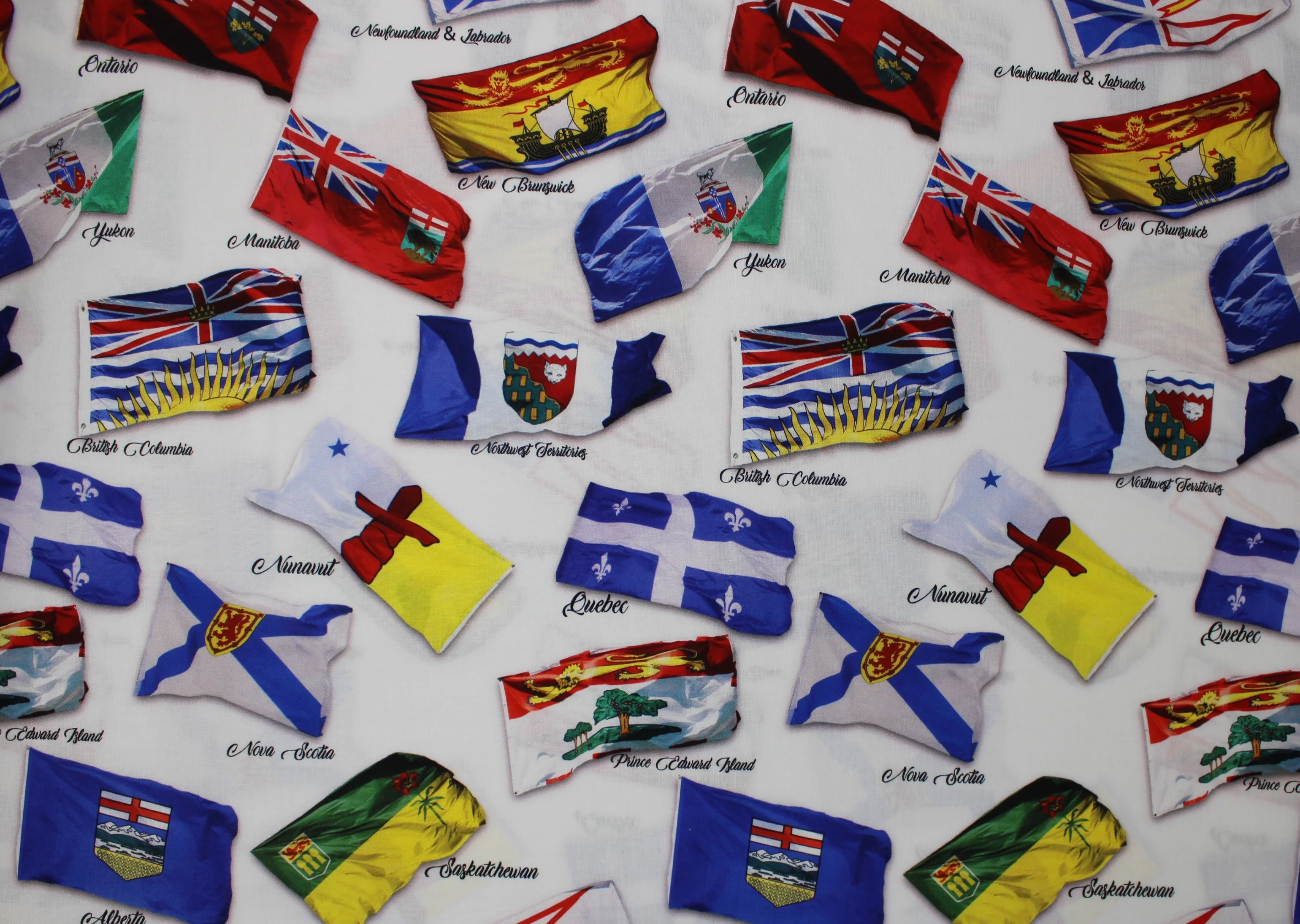 Canadian Road Trip - 45" - 100% Cotton - Image 12